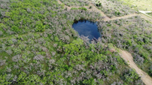 Listing photo 3 for 3882 Dry Creek Rd, Lockhart TX 78644