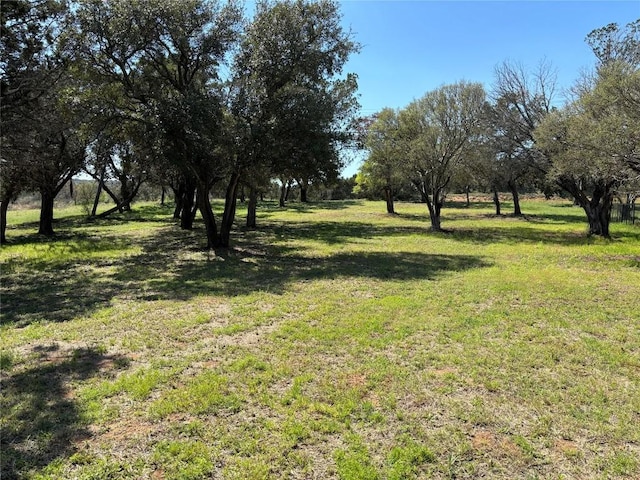 104 Oleander Dr, Buchanan Dam, TX 78609 - photo 4