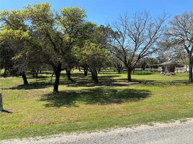 104 Oleander Dr, Buchanan Dam, TX 78609 - photo 5