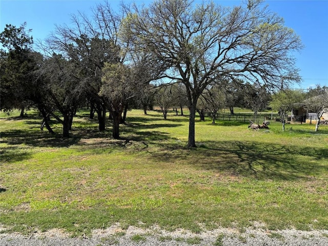 104 Oleander Dr, Buchanan Dam, TX 78609 - photo 6
