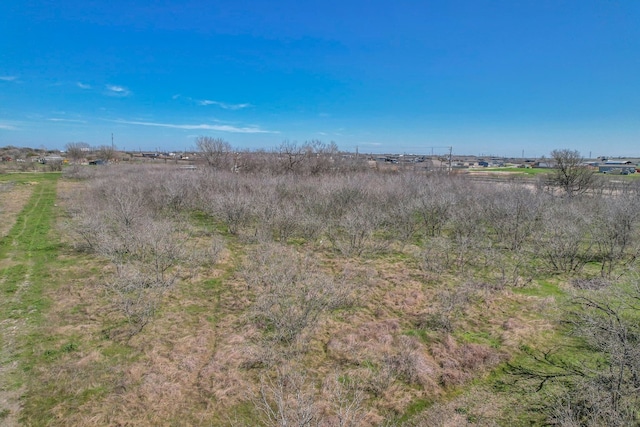 11207 Camino Real, Kyle, TX 78640 - photo 23
