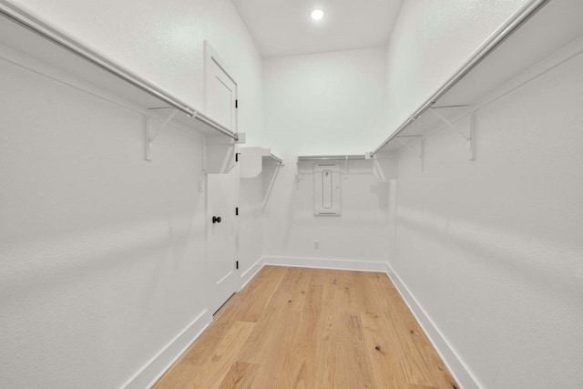 walk in closet featuring light hardwood / wood-style flooring and electric panel