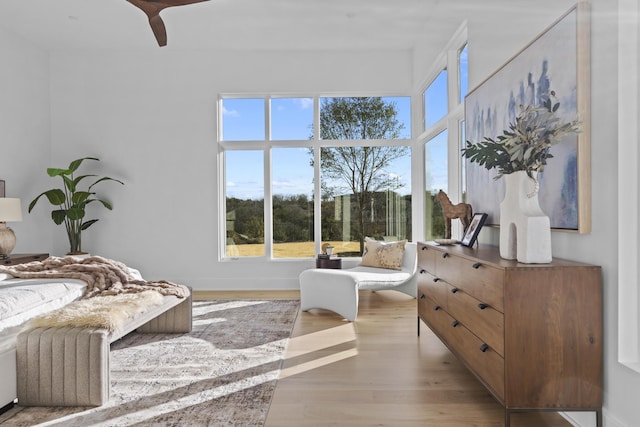 bedroom featuring light hardwood / wood-style floors