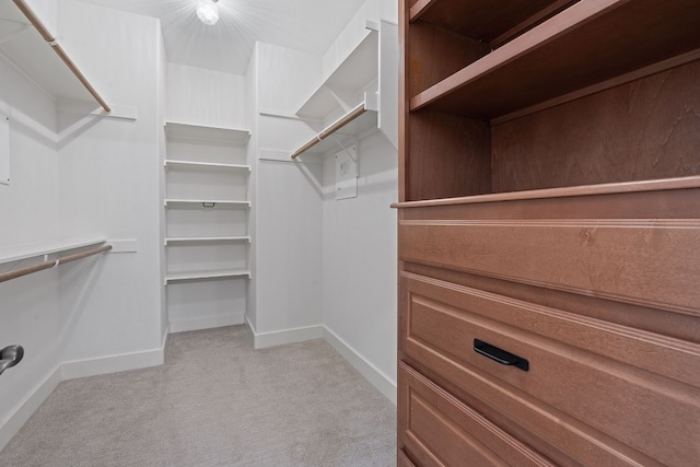 spacious closet featuring light carpet