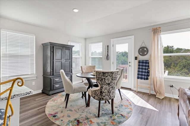 dining space featuring hardwood / wood-style floors