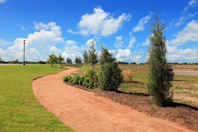 view of community featuring a rural view and a lawn