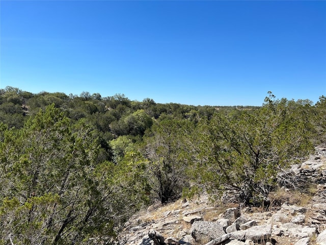 Listing photo 3 for TBD Spring Crossing, Junction TX 76849