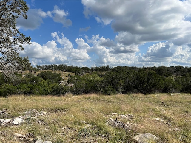 Listing photo 3 for TBD Spring Crossing, Junction TX 76849