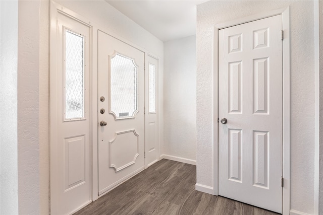 entryway featuring dark wood-type flooring