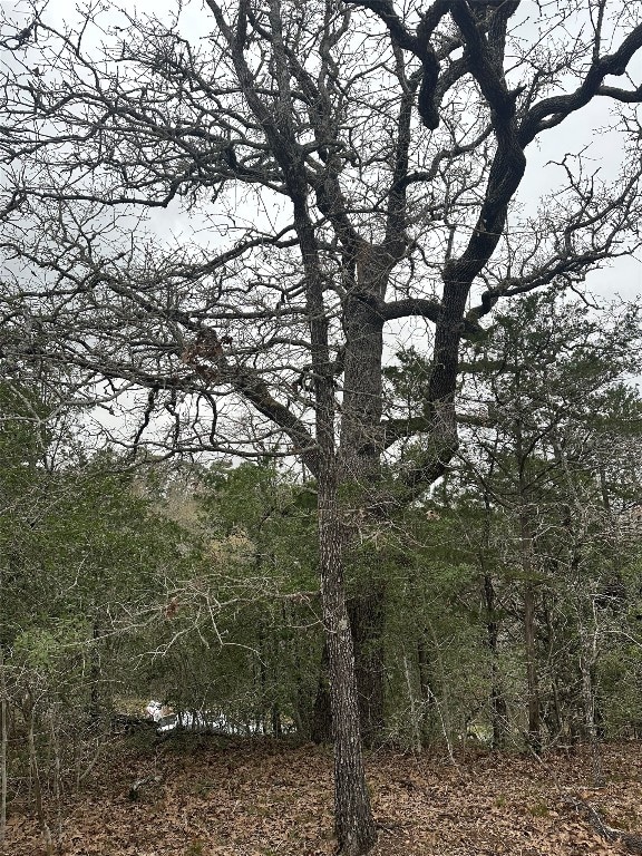 Listing photo 2 for TBD Wailupe Cir, Bastrop TX 78602