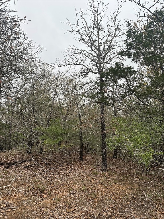 TBD Wailupe Cir, Bastrop TX, 78602 land for sale