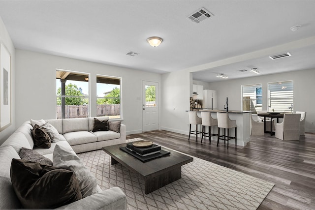 living room featuring plenty of natural light and hardwood / wood-style flooring