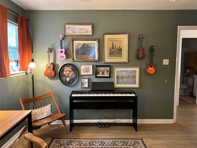 miscellaneous room featuring hardwood / wood-style floors