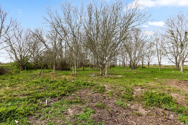 0 Strickland Ln, Eagle Lake TX, 77434 land for sale