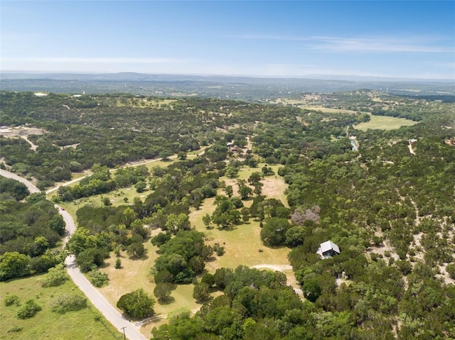 view of bird's eye view