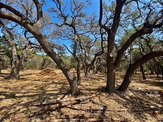 000 Roger Hanks Pkwy, Dripping Springs TX, 78620 land for sale