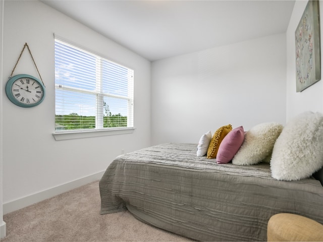 carpeted bedroom with multiple windows