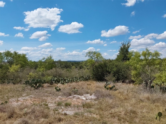 Listing photo 3 for LOT201 Sundance View Pt, Spicewood TX 78669