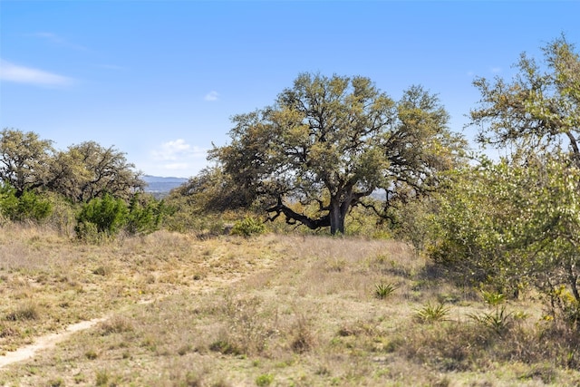 716 Summit Ridge Trl, Johnson City, TX 78636 - photo 7