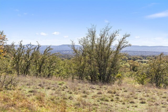 716 Summit Ridge Trl, Johnson City, TX 78636 - photo 8
