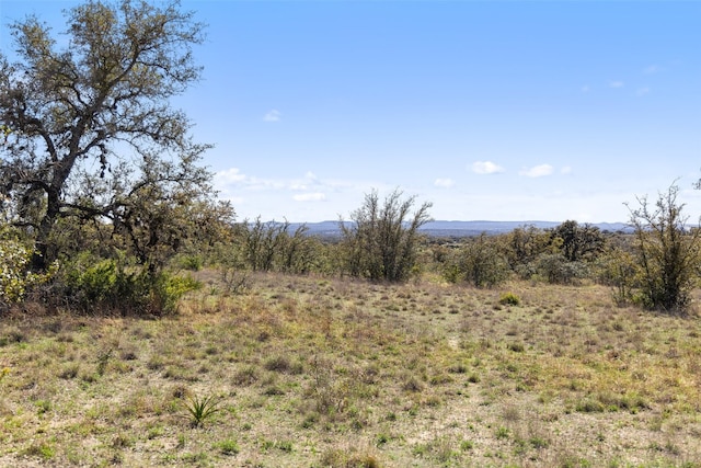 716 Summit Ridge Trl, Johnson City, TX 78636 - photo 9