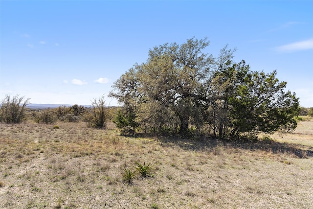 716 Summit Ridge Trl, Johnson City, TX 78636 - photo 10