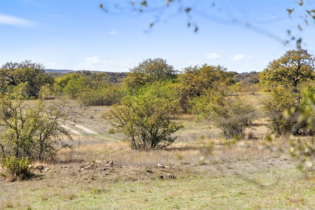 716 Summit Ridge Trl, Johnson City, TX 78636 - photo 11