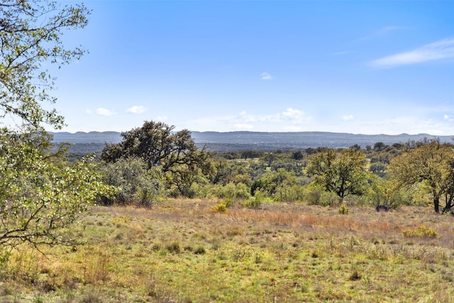 716 Summit Ridge Trl, Johnson City, TX 78636 - photo 15