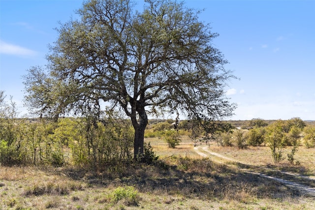 716 Summit Ridge Trl, Johnson City, TX 78636 - photo 4