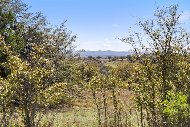 716 Summit Ridge Trl, Johnson City, TX 78636 - photo 6