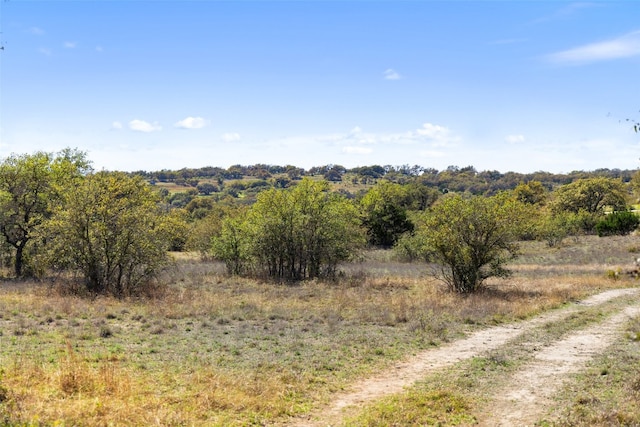 716 Summit Ridge Trl, Johnson City, TX 78636 - photo 21