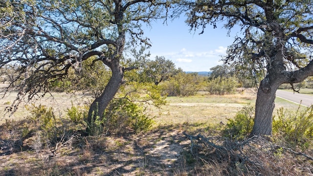 716 Summit Ridge Trl, Johnson City, TX 78636 - photo 35