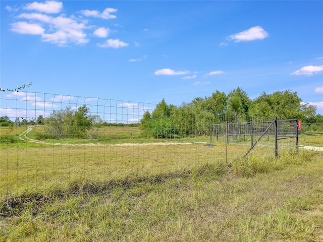 view of yard featuring a rural view