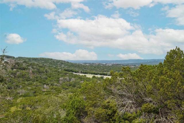 view of mountain feature