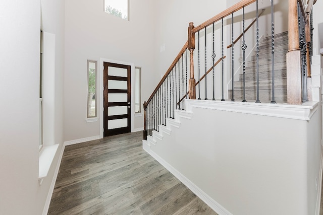 foyer entrance featuring a high ceiling and wood-type flooring