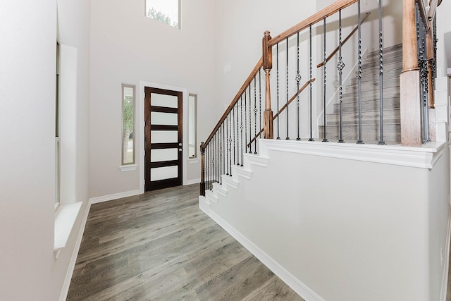 entrance foyer with wood-type flooring and a high ceiling