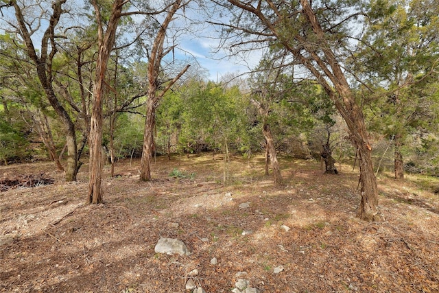 TBD River Hills Rd, Austin, TX 78733 - photo 11