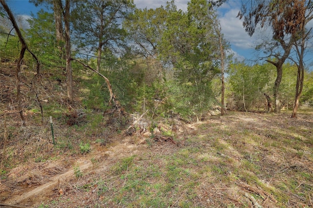 TBD River Hills Rd, Austin, TX 78733 - photo 13