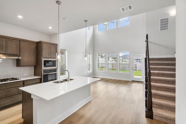 kitchen featuring light wood-type flooring, pendant lighting, an island with sink, sink, and appliances with stainless steel finishes