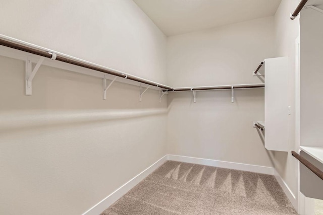 316 Chaste Tree Dr, San Marcos, TX 78666 - spacious closet featuring carpet