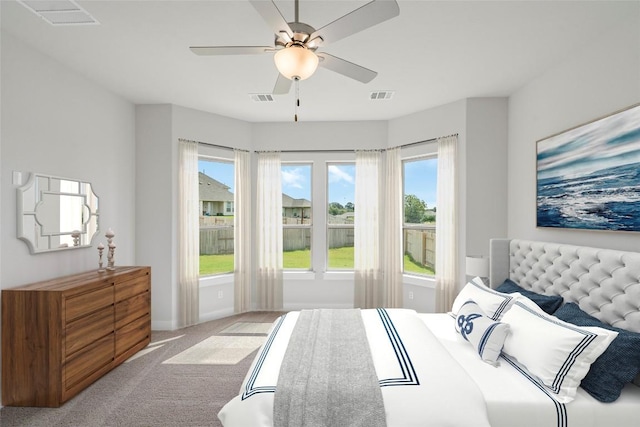 316 Chaste Tree Dr, San Marcos, TX 78666 - bedroom featuring carpet floors and a ceiling fan