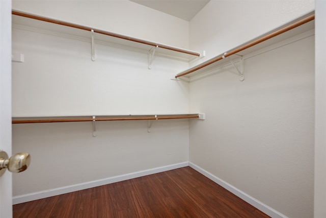 spacious closet with dark hardwood / wood-style floors