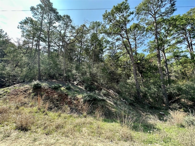 168 Molokini Dr, Bastrop TX, 78602 land for sale