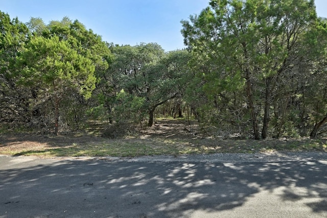 000 Ridgetop Ter, Austin, TX 78732 - photo 4