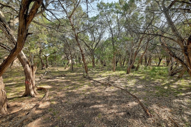 000 Ridgetop Ter, Austin, TX 78732 - photo 6