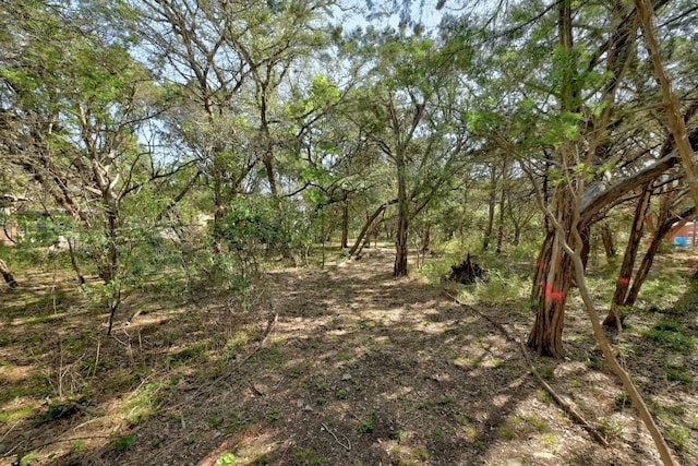 000 Ridgetop Ter, Austin, TX 78732 - photo 5