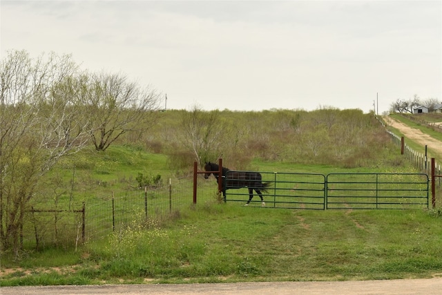 Listing photo 2 for TBD Anderson Ln, Red Rock TX 78662