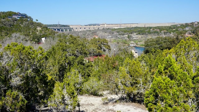 Listing photo 3 for TBD Geronimo Trail, Austin TX 78734