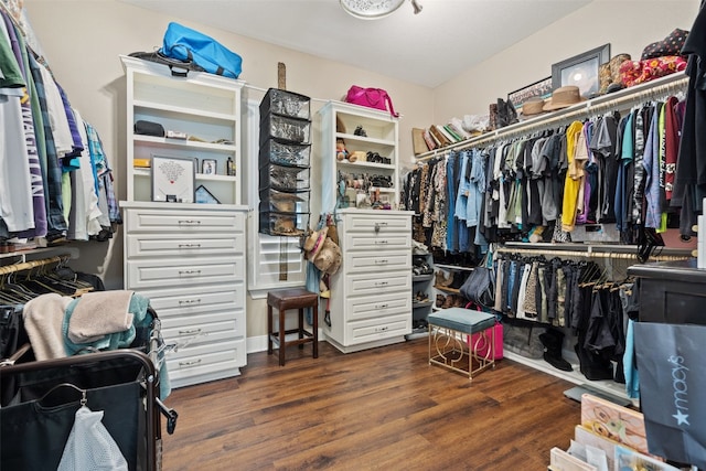 walk in closet featuring dark hardwood / wood-style floors