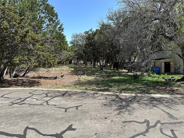 303 Augusta Cv, Point Venture TX, 78645 land for sale